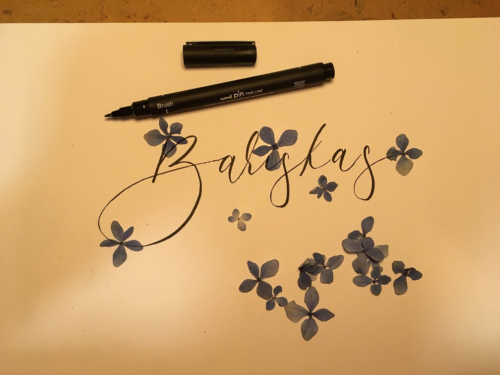 Dicas para desenhar flores – Bariskas