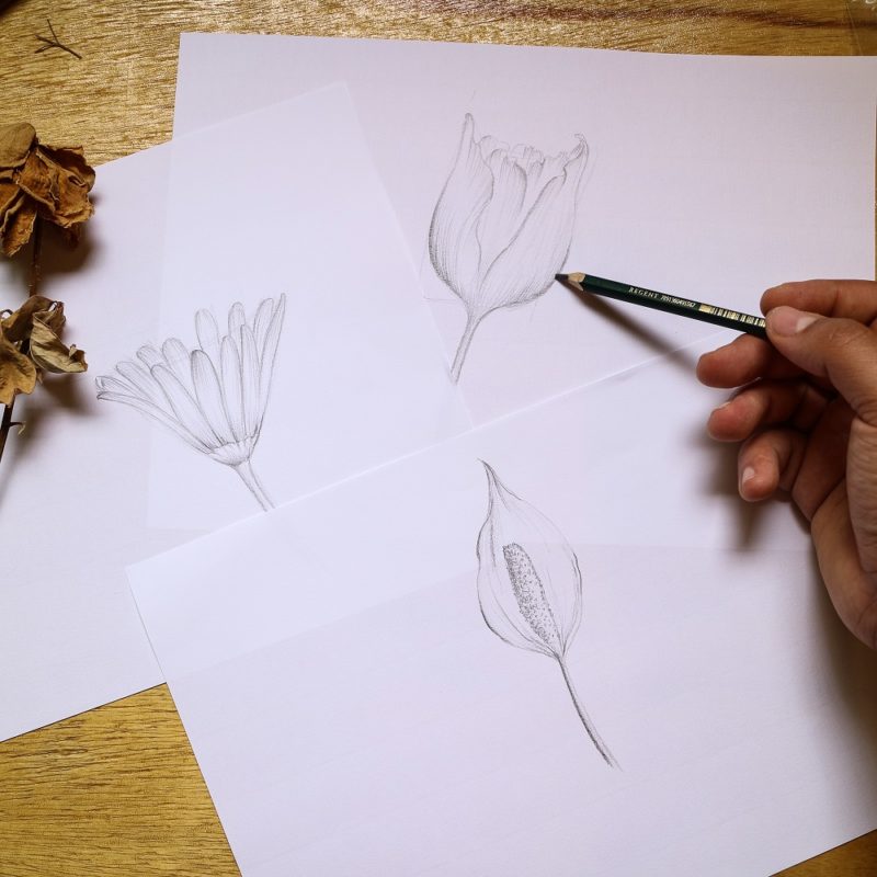 Dicas para desenhar flores – Bariskas