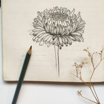 Descrição de flor desenhada em folha de papel com lápis de grafite