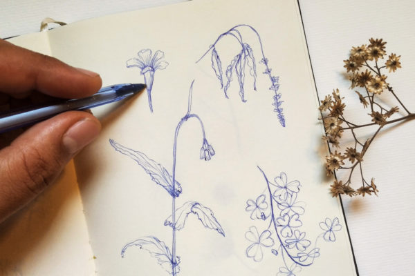 Desenho de flores feito com canetas esferográficas em papel