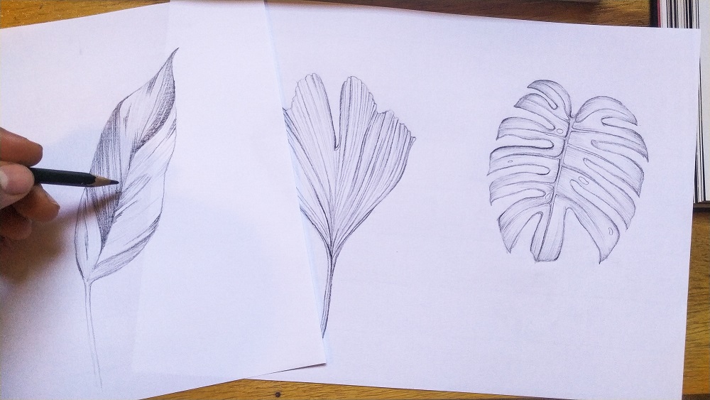 Aquarela para colorir papel para adultos, esboço de flor linha