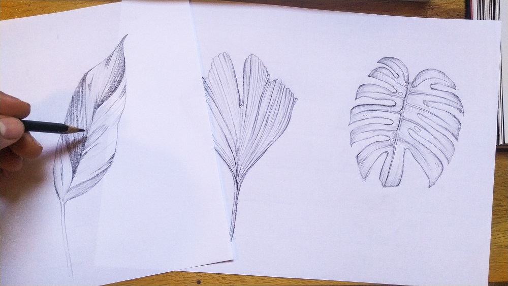 COMO DESENHAR UMA FLOR FÁCIL  DESENHANDO E PINTANDO PASSO A PASSO 